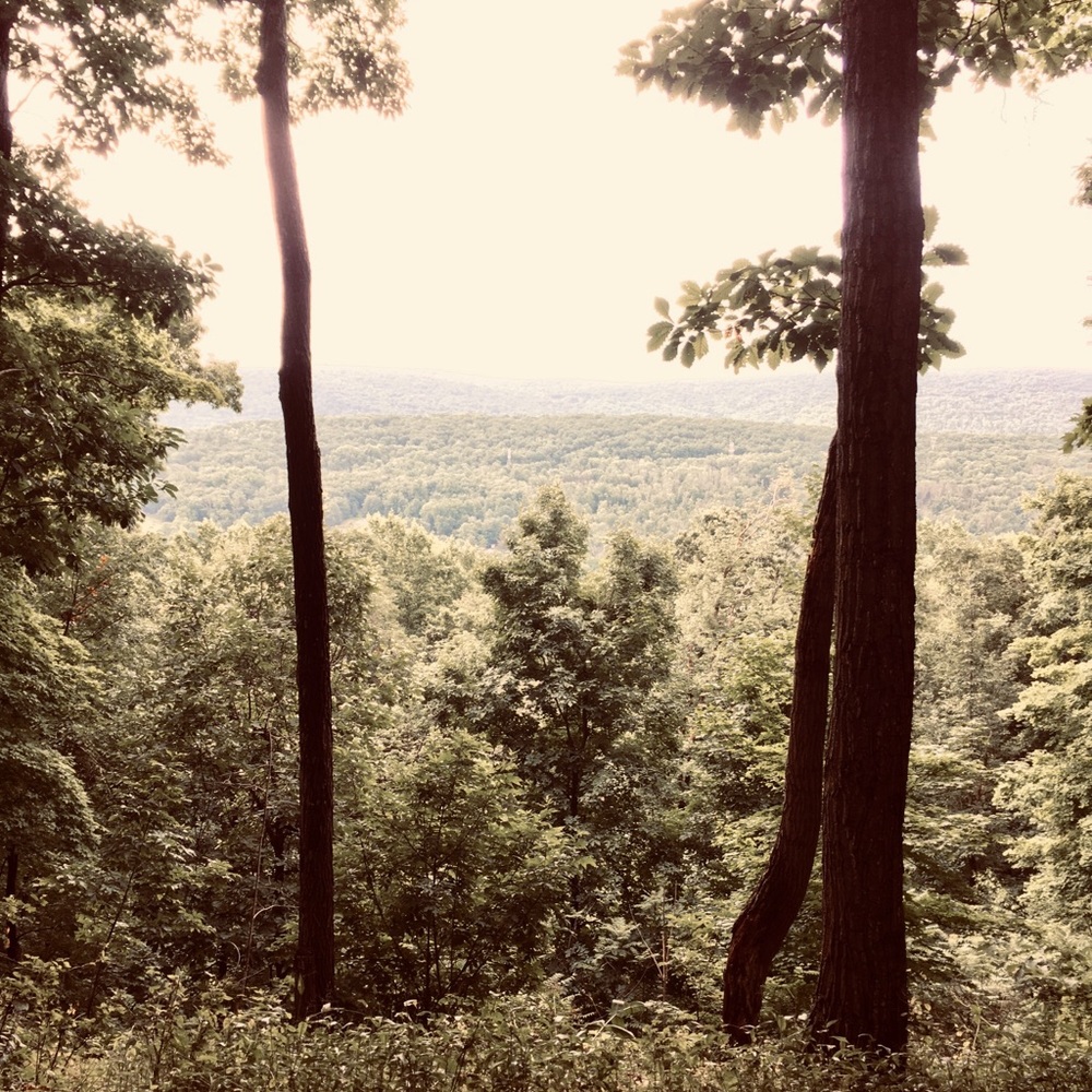 Meet your Posher, Anns